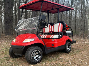 ocala golf cart service, golf cart repair ocala
